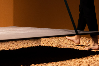 Experiencia sensorial en Cersaie 2024